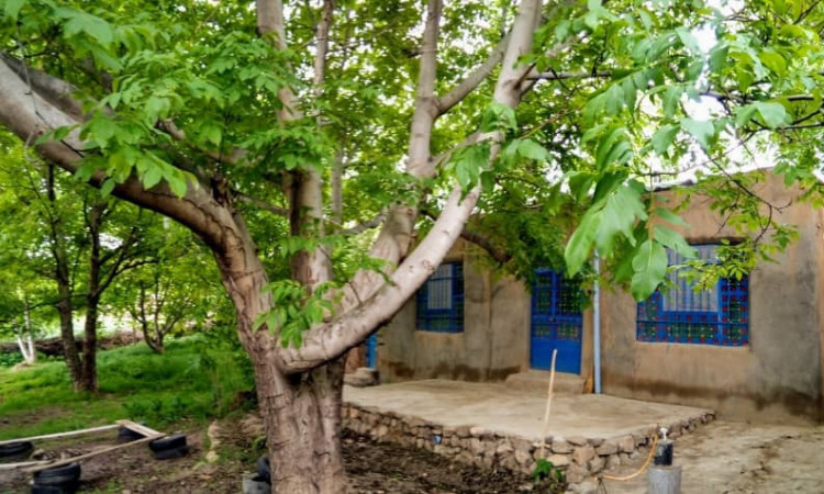 رزرو بوم گردی اتاق 1 سپیدار روستای ابر