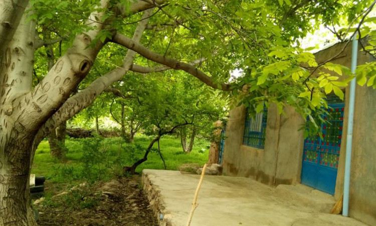 رزرو بوم گردی اتاق 5 سپیدار روستای ابر