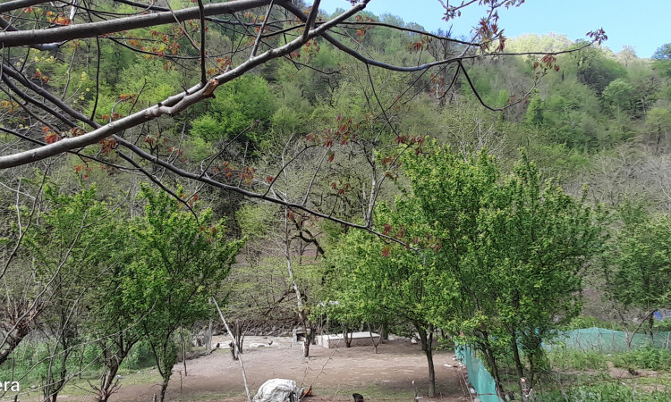اجاره ویلا جاده اسالم به خلخال