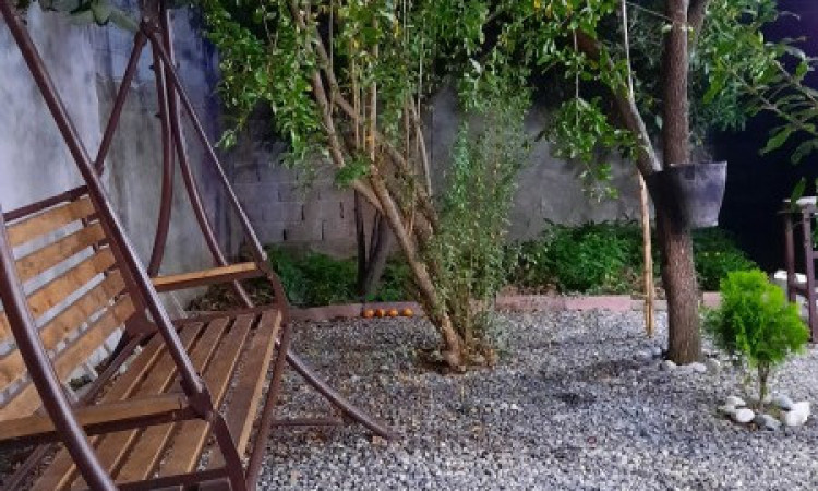 اجاره باغ ویلا گنج زمین سبز 1