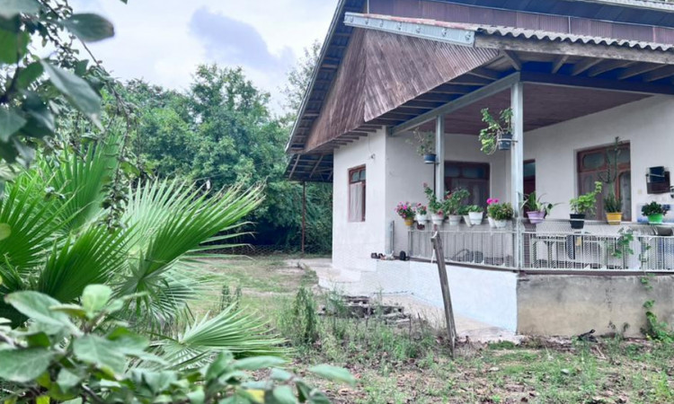 اجاره ویلا‌ تکخوابه آفتاب ماسال