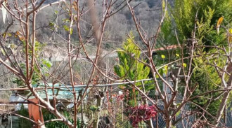 غرفة نوم واحدة للإيجار مع ساحة