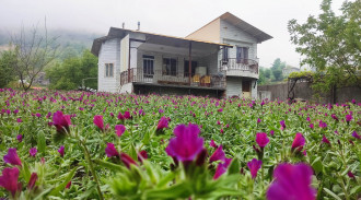 اجاره باغ ویلا بکر تراس دار مسعود