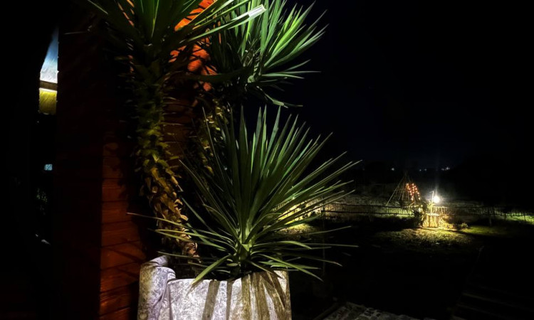 اجاره خونه باغ پونا مناسب عکاسی