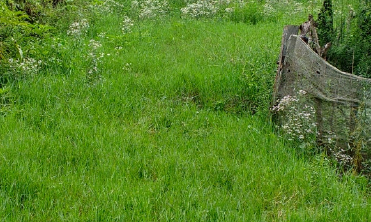 اجاره ویلا جنگلی ماسال(دو خوابه)