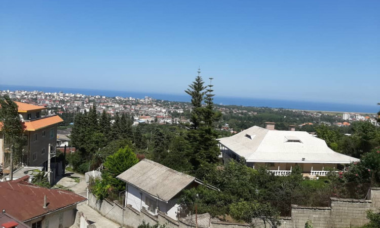 اجاره ویلا باغ بارعام جنگلی رامسر