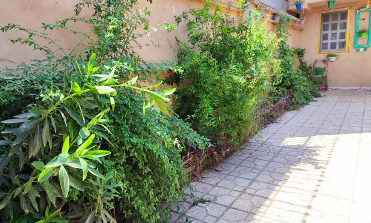 اجاره ویلای باران کوه گرگان ( شماره 1 )