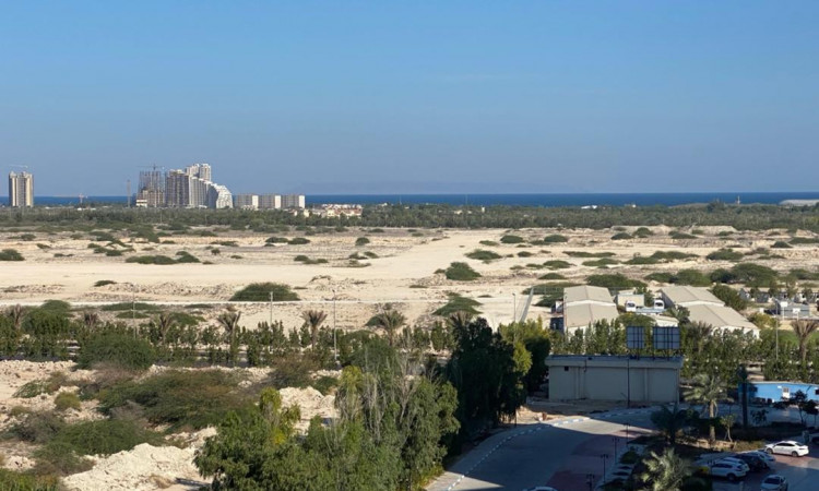اجاره آپارتمان تک خوابه دهکده ساحلی سرو کیش