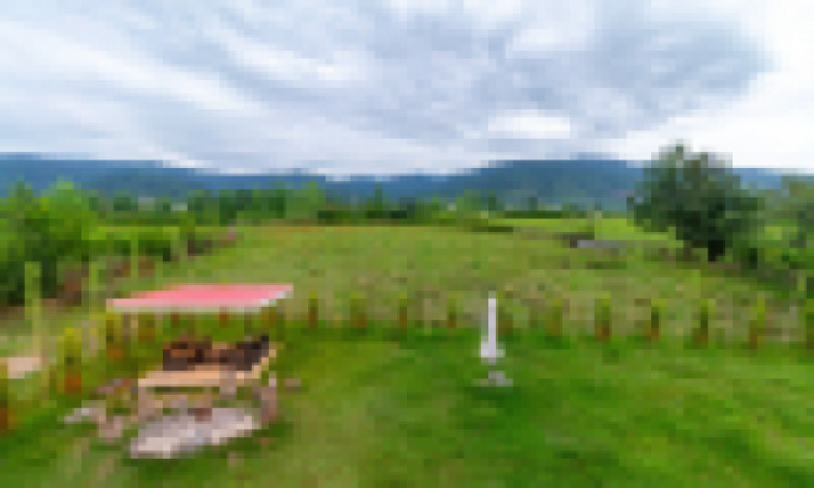 سویسی جنگلی باران با جکوزی آب گرم