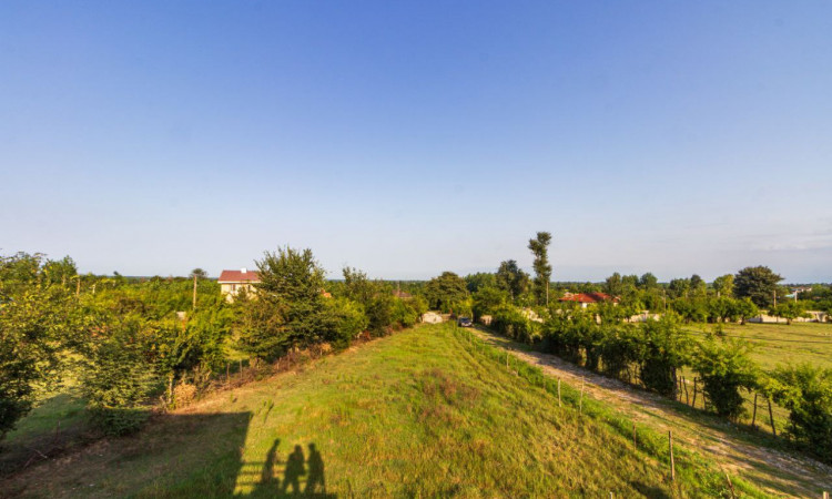 سویسی جنگلی باران با جکوزی آب گرم
