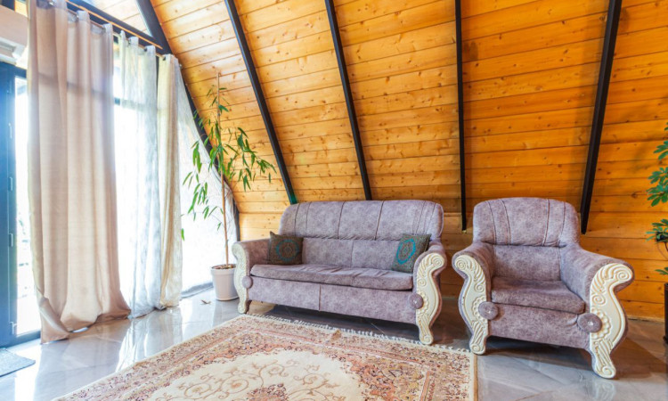 سویسی جنگلی باران با جکوزی آب گرم