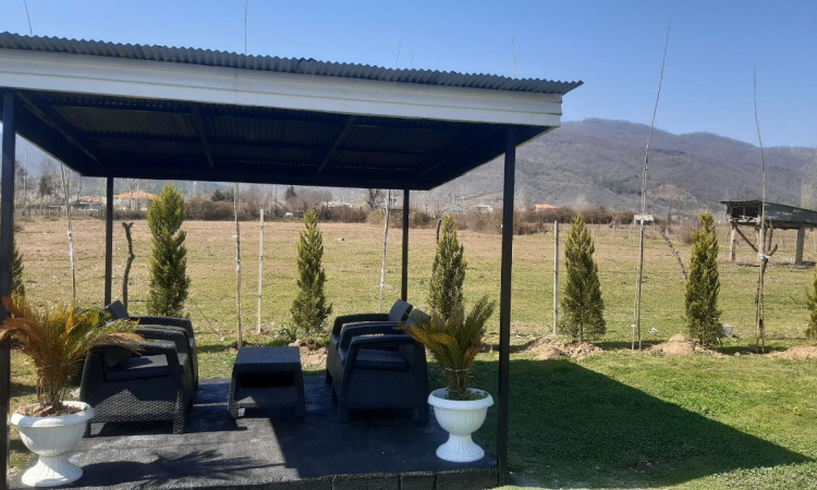 سویسی جنگلی باران با جکوزی آب گرم