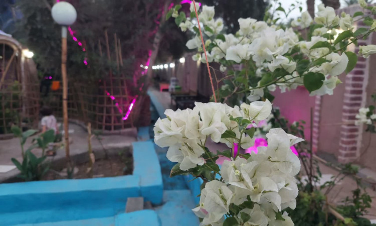 رزرو بوم گردی حرفه ایی کلوتهای شهداد(اتاق 1)