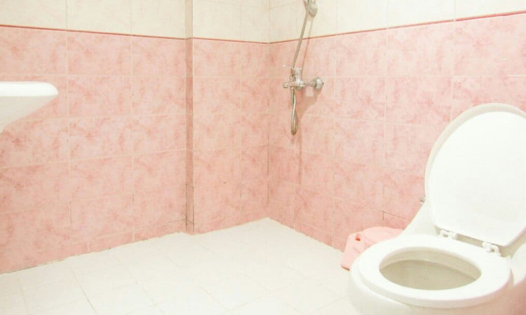 اجاره آپارتمان مبله دو خواب در ونک