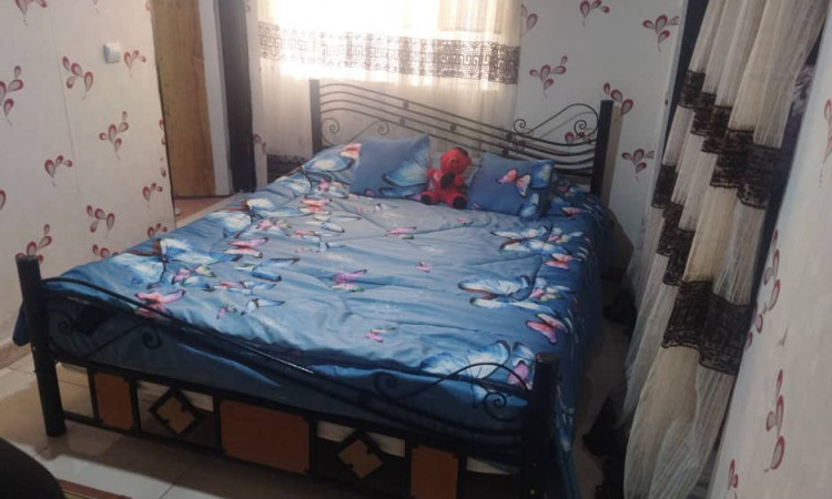 اجاره آپارتمان مرسانا تک خوابه