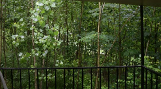 اجاره کلبه جنگلی جوارم