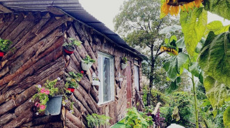 اجاره کلبه نما چوبی جنگلی ویو بینظیر لاویج