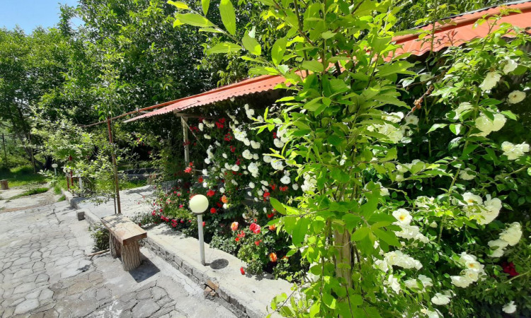اجاره ویلا باغ پردیس