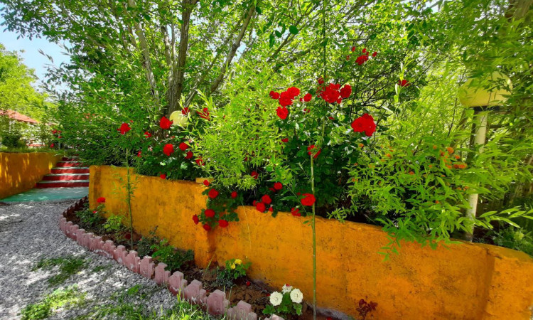 اجاره ویلا باغ پردیس