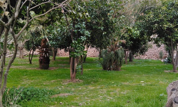 رزرو بوم گردی تاریشا( اتاق تیروتیر)3