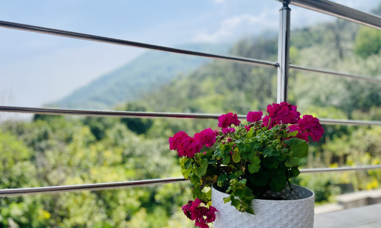 اجاره ویلا کوهپایه سرولاتی