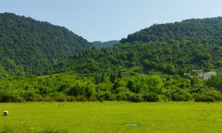 اجاره ویلا کوهپایه سرولاتی