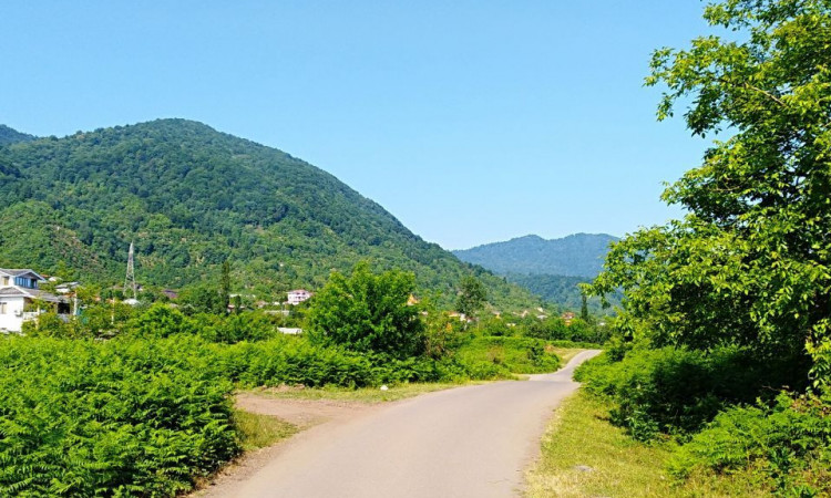 اجاره ویلا کوهپایه سرولاتی