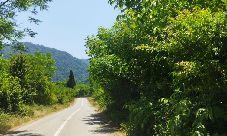 اجاره ویلا کوهپایه سرولاتی