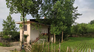 اجاره آپارتمان جنگلی طبقه پایین