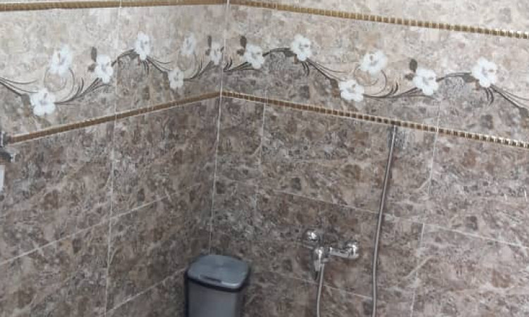 اجاره آپارتمان جنگلی طبقه پایین