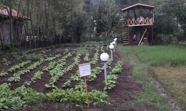 اجاره ویلا روستایی کاسپین در روستای استخرگاه