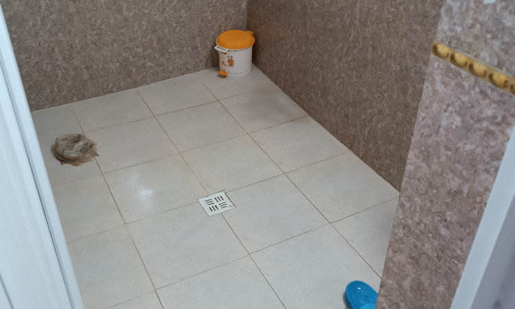 اجاره ویلای دربست نوساز مهدی