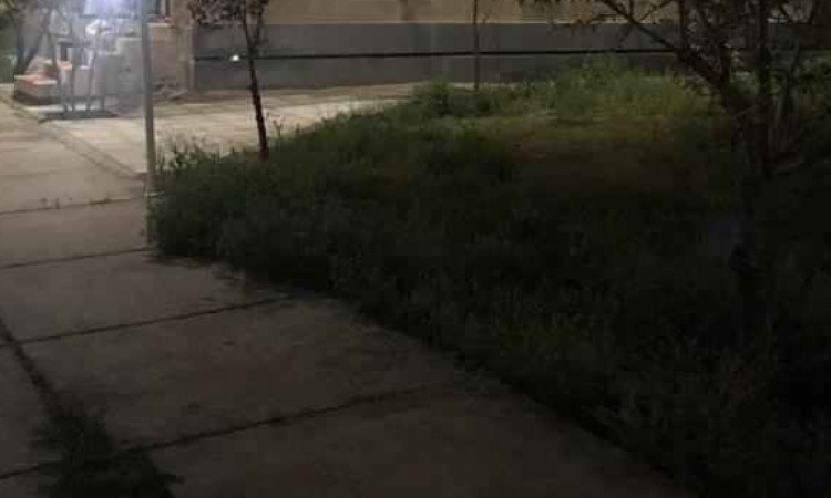 اجاره باغ ویلا 2 خوابه پانیسا