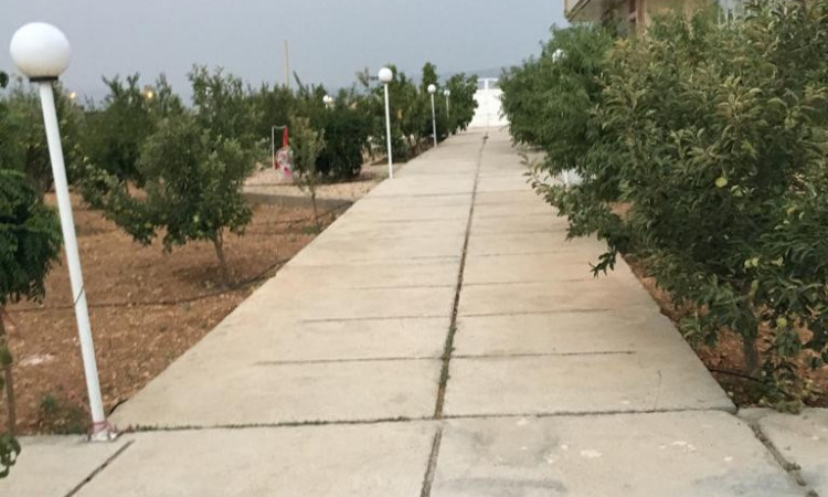 اجاره باغ ویلا 2 خوابه پانیسا