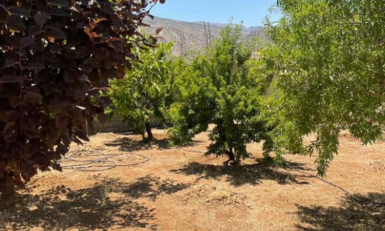 اجاره باغ ویلا 2 خوابه پانیسا