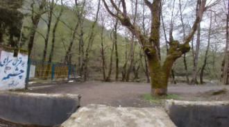 اجاره سوییت سرای گل