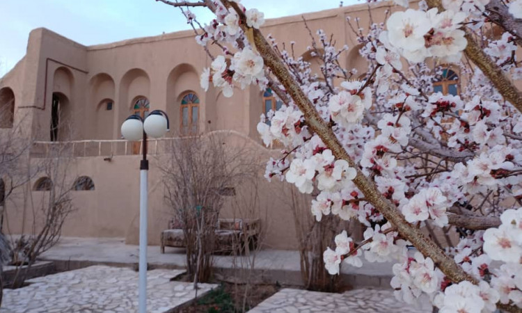 بوم گردی خانه باغ صفا همکف