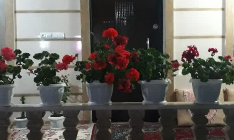 اجاره ویلا 2 خواب گل ها