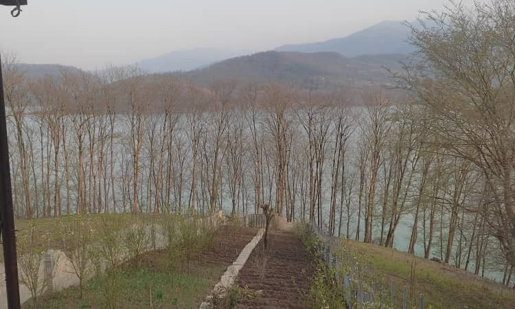 اجاره سوئیت ویلایی صدر جهان