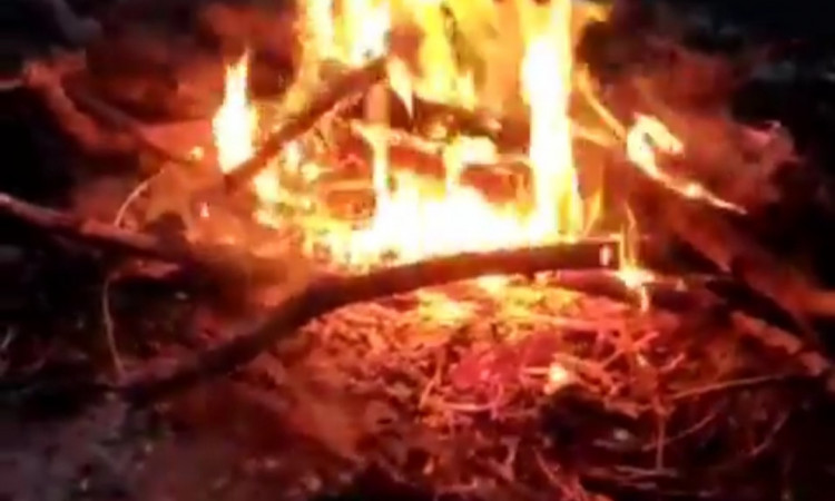اجاره باغ خانوادگی مازون