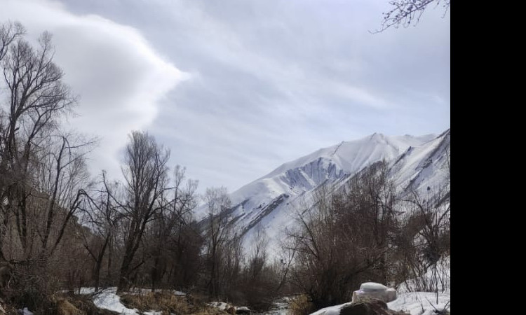 اجاره باغ خانوادگی مازون