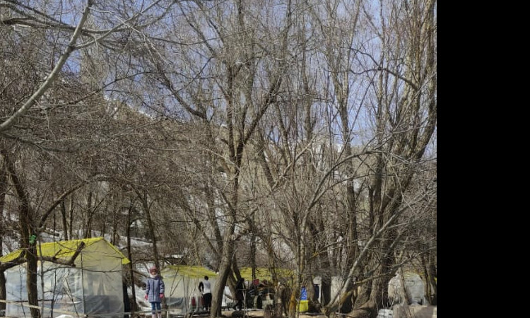 اجاره باغ خانوادگی مازون