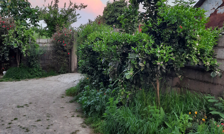 اجاره ویلا ساحلی نزدیک گیسوم