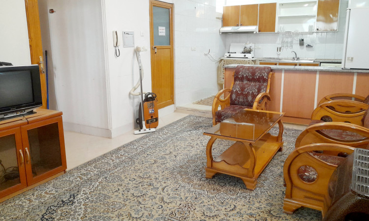 سوئیت آپارتمان فرهنگ و ادب (6)