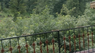 اجاره ویلا لب رودخانه