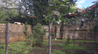 اجاره آپارتمان دوخوابه نیمه دربست ماسال