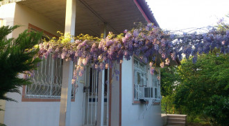 اجاره ویلا باغ سرسبز در لنگرود