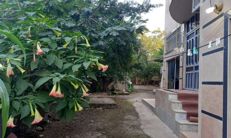 اجاره ویلا یک خواب ماسال