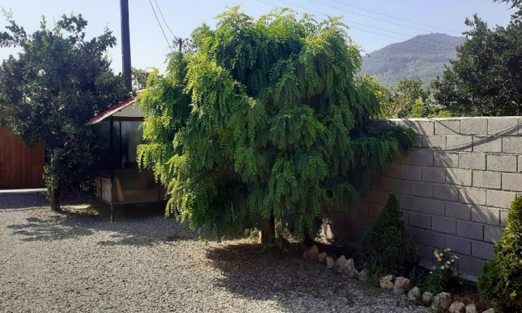 کلبه چوبی استخردار شونیشت