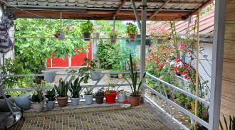 اجاره ویلا روستایی دوخوابه نزدیک دریا